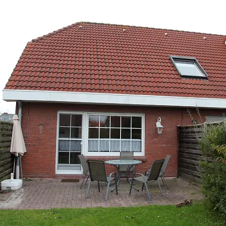 Seerobbe Norddeich (Norden)